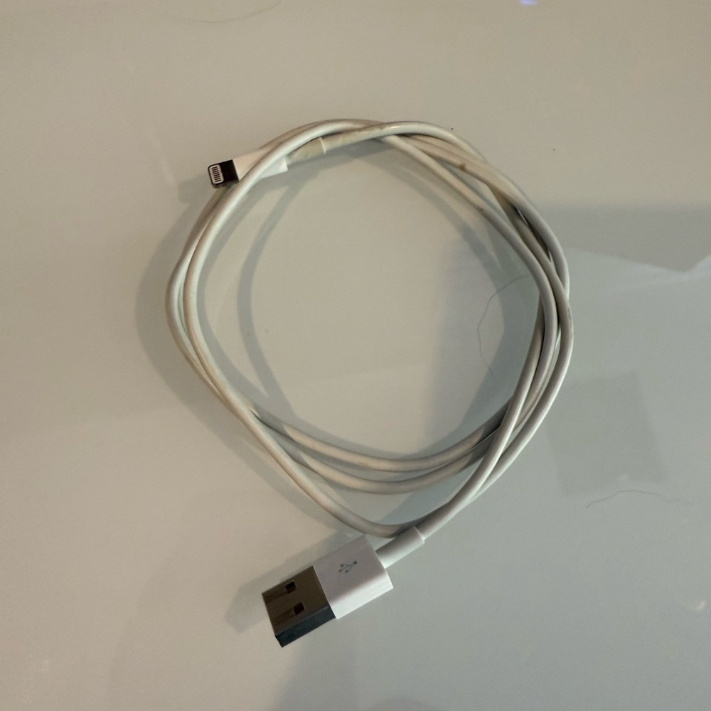 iPhone lightning bundle: new wired earbuds, headphone jack converter, and cable - Picture 4 of 4